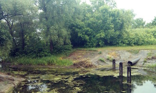 Экологические услуги от ПромМир-Крл в Красном Сулине - стоимость от 12247 руб.