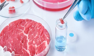 Лабораторный анализ пищевых продуктов по СанПиН в Красном Сулине в октябре