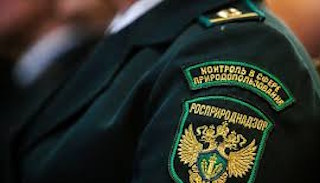 Подготовка к проверке Росприроднадзора в Красном Сулине от ПромМир-Крл, стоимость услуги от 20412 руб.